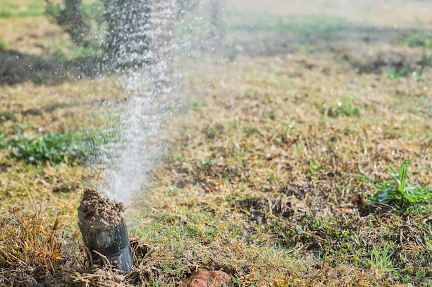 Sprinkler head for watering bush and grass in parks or farms selective focus blurred background environmental care