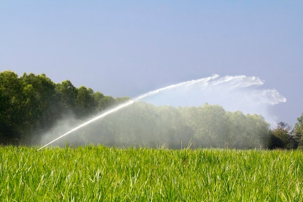 Photo sprinkler head watering the grass in farm