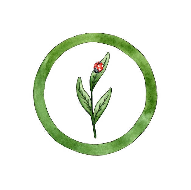 Sprout icon in green circle and ladybug watercolor