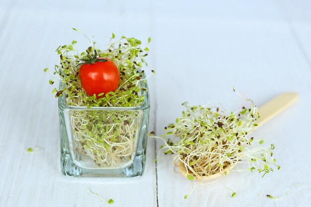 Photo sprouted of alfalfa seeds with cherry tomato and wooden spoon