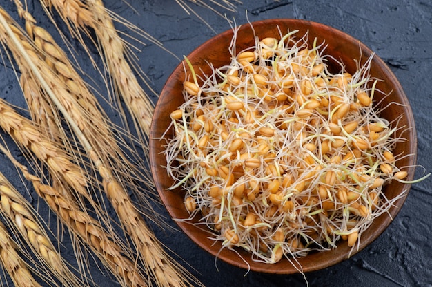 Sprouted wheat in a wooden bowl with ears of wheat. Close-up