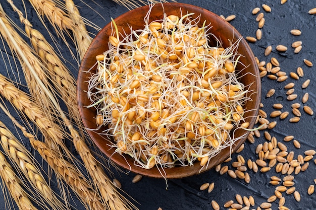 Sprouted wheat in a wooden bowl with ears of wheat. Close-up