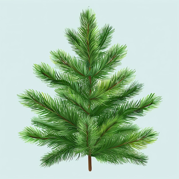 Spruce branch Green fir Realistic Christmas tree illustration for Xmas cards New year party poster