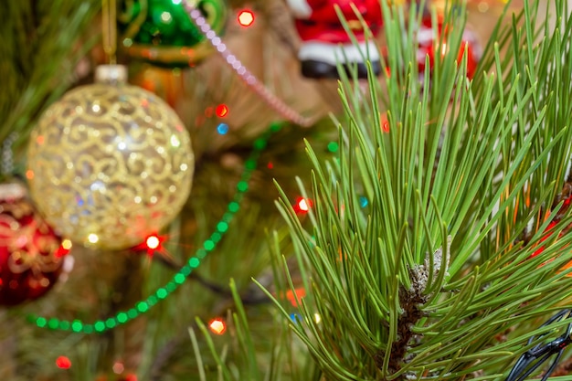 Spruce branch with Christmas balls and festive lights on the background