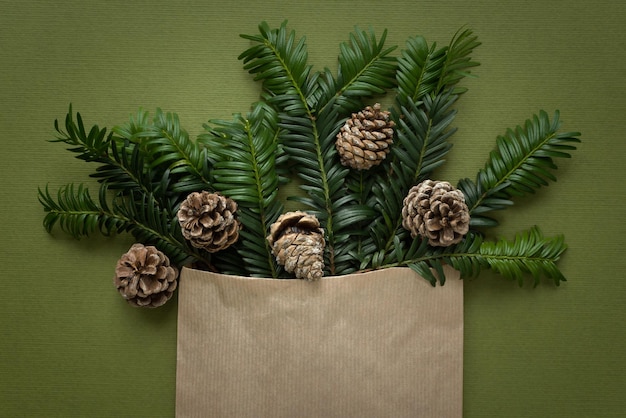 Spruce branches cones on a green background. Christmas natural festive design top view