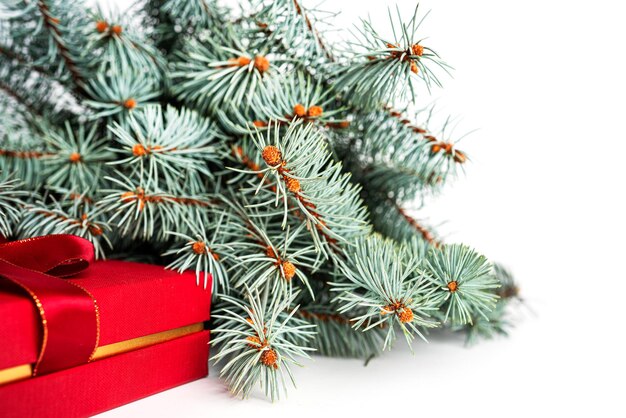 Spruce on a white background. Spruce branches on a white background. Fir tree and red gift box. High quality photo