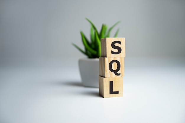 SQL text Structured Query Language