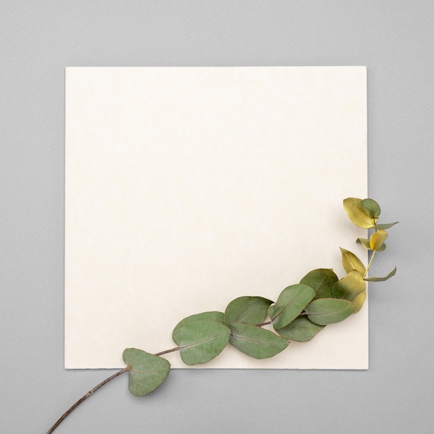 Square card with a golden eucalyptus branch.