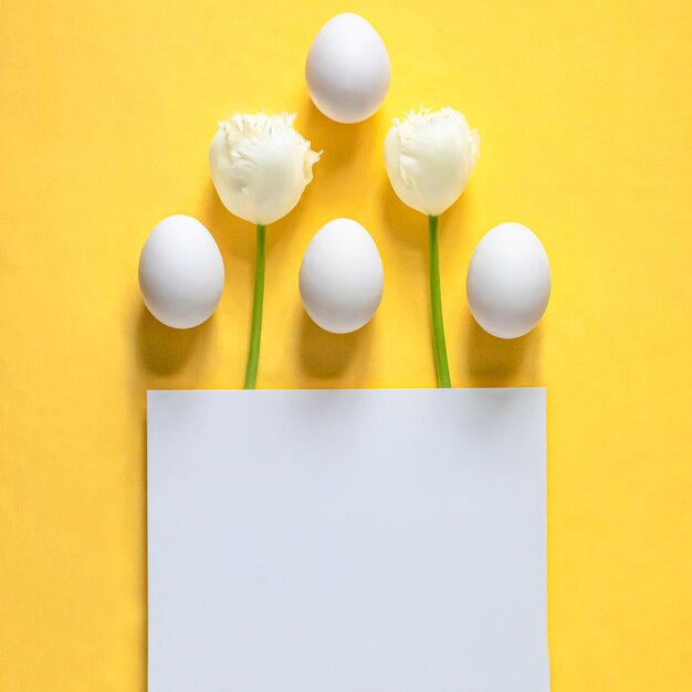 Photo square easter card with space for text easter eggs and white tulips on a yellow background