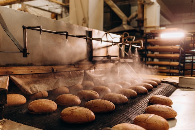 Square fresh bread cools down on conveyor automatic production line bakery after stone oven