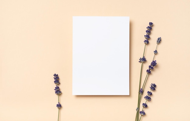 Square invitation white greeting card mockup with a a flowers lavender branch