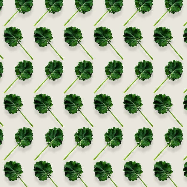 Square pattern of kale leaves on light grey background