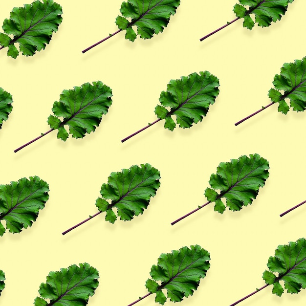 Square pattern of kale leaves on light yellow background