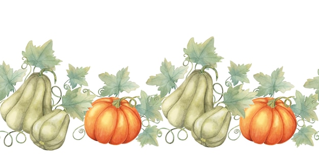 Photo squash seamless border clipart presents a mix of green and orange gourds with watercolor leaves ideal for creating harvestthemed designs