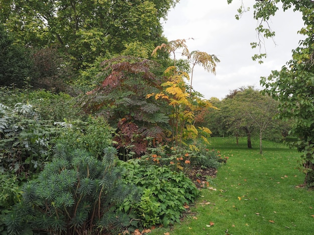 St James's Park in London