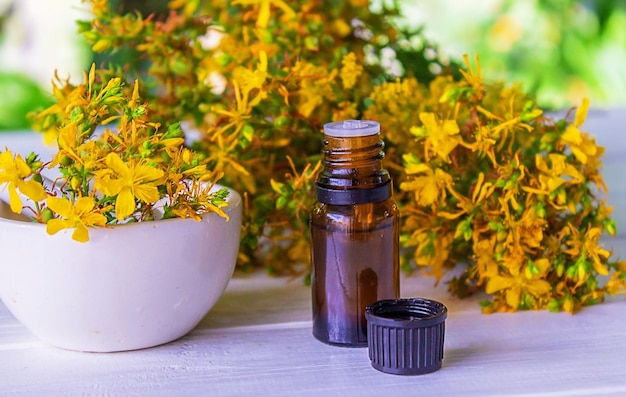 St John's wort essential oil in a small bottle Selective focus