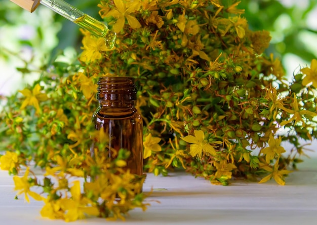 St John's wort flower oil in a glass bottle on a wooden background