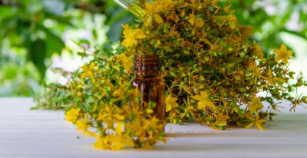 St John's wort flower oil in a glass bottle on a wooden background