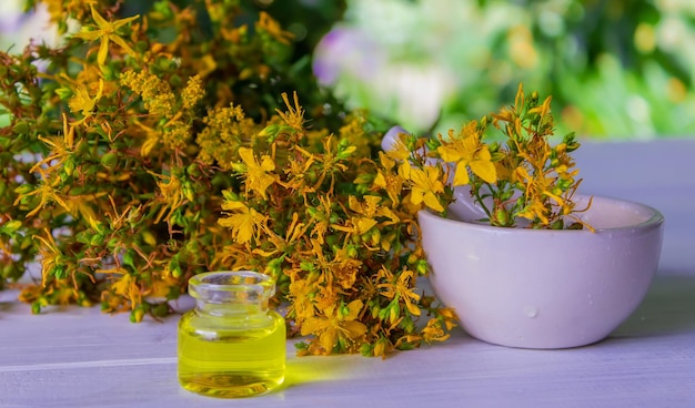 St John's wort flower oil in a glass bottle on a wooden background