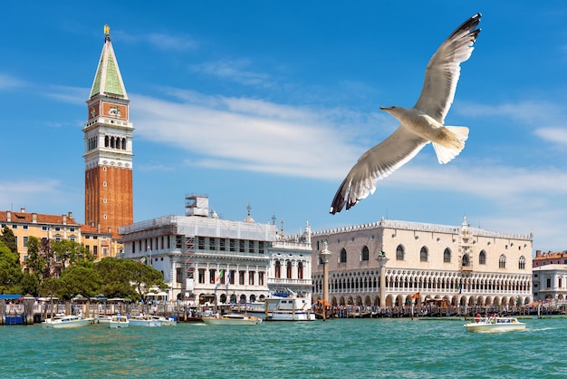 St Marks Square in Venice