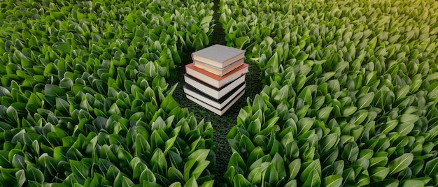 stack of books in green grassy field with sunlight shining through symbolic image of knowledge education and growth