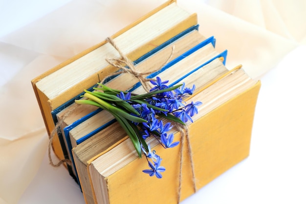 A stack of books tied with string with a bouquet of blue flowers top view