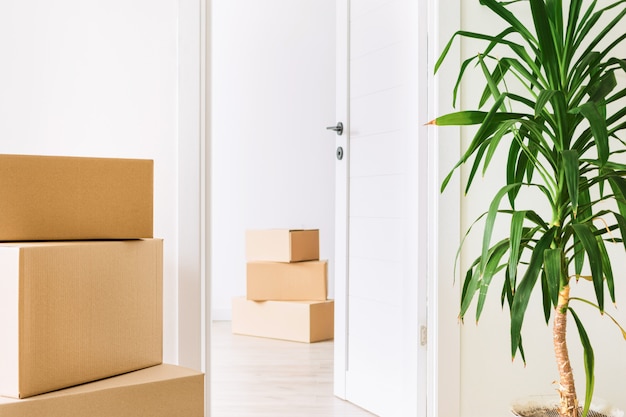 Stack cardboard boxes in living room. Space for text