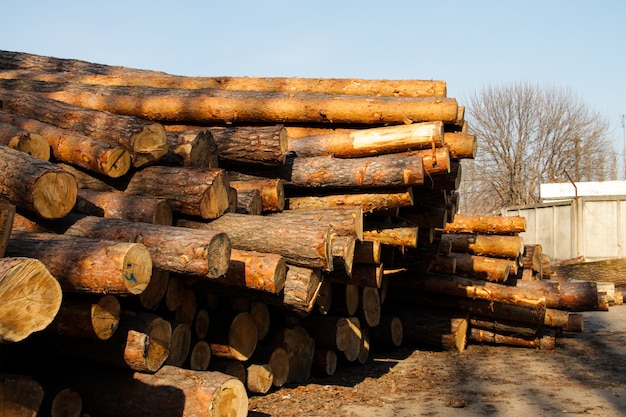 Photo stack of construction raw timber in sawmill yard