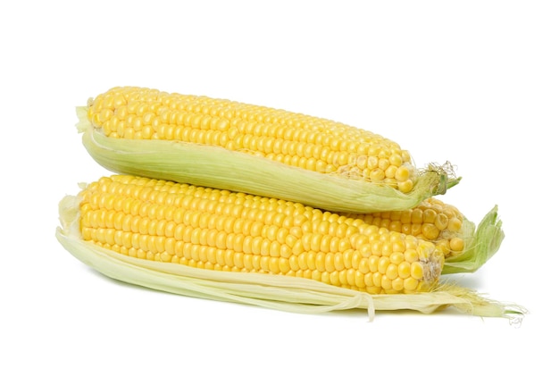 Stack of corn cobs with yellow grains isolated on white background