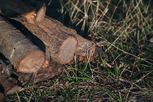 Stack of firewood in field on the grass. A lot of dry wood