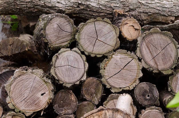 Stack of firewood Natural wooden background