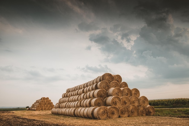 Photo stack of hay bales on field against sky