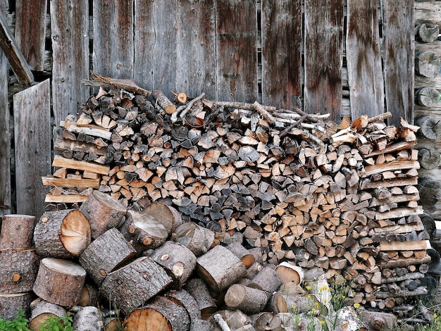 Photo stack of logs in forest