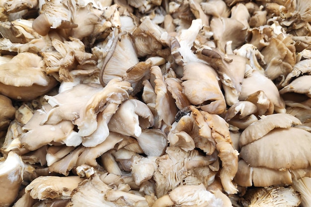 Stack of Pleurotus on a merchant39s stall