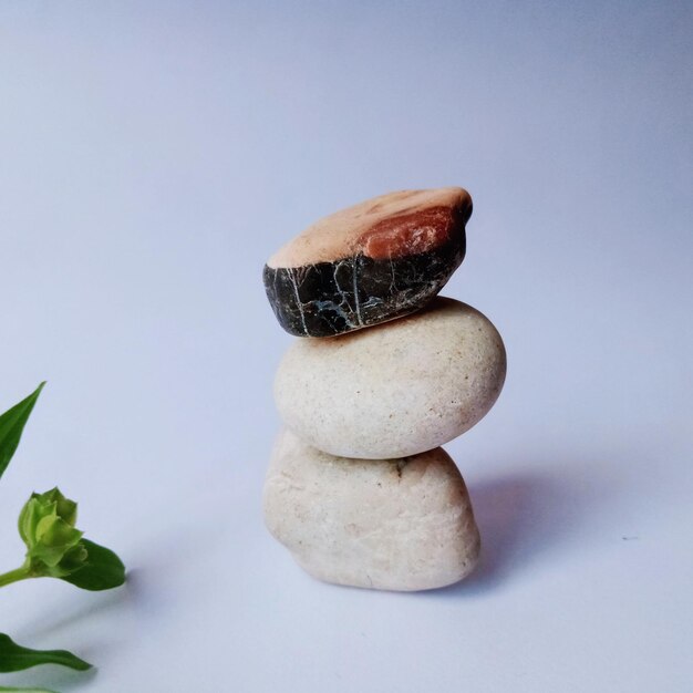 A stack of rocks with one of them labeled seaweed