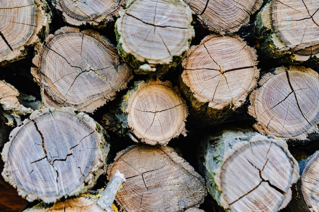 Stacked firewood firewood for kindling stoves barbecue