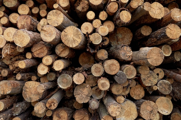 Stacked logs in the fog.