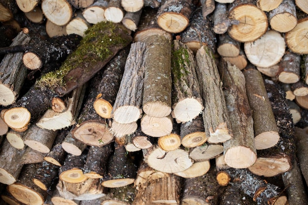 Stacking of round wood Dry cut wood texture Woodpile of light color core Wood storage place The structure of dry birch logs