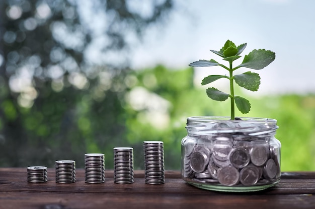 Stacks of coins and a young plant in a glass jar with coins as a concept for investing and saving