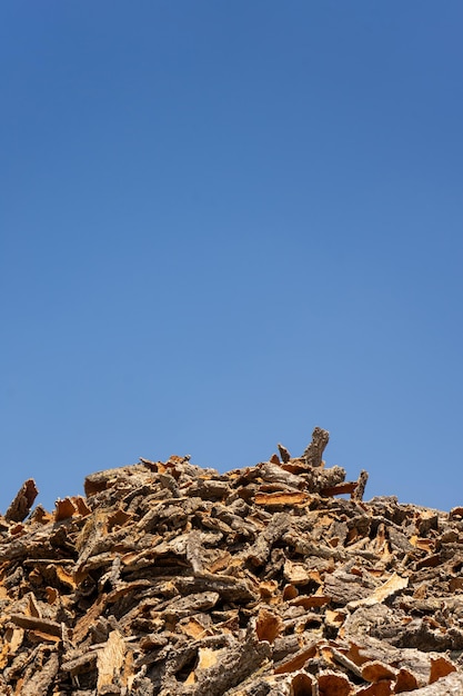 Photo stacks of cork harvested from alentejos cork oak trees piled high under the sun