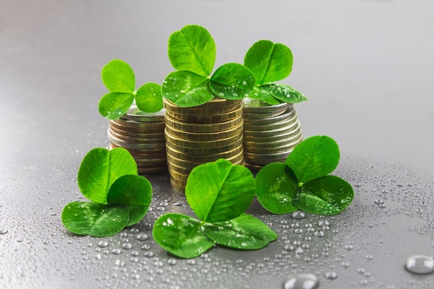 Stacks of Russian coins with clover leaves on a gray background with droplets of water StPatrick 's Day