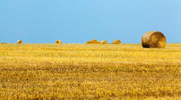 stacks of straw