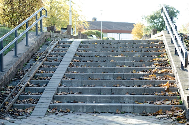 the stairs are strewn with autumn leaves