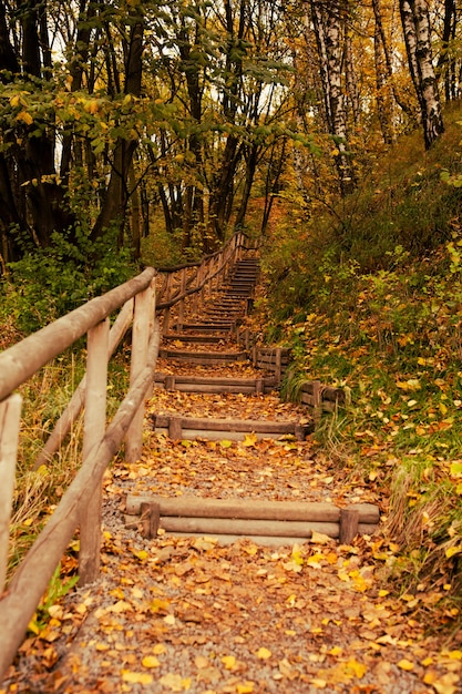 Stairs in autumn park fall season