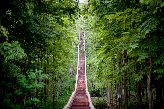 stairs and the way up the hill to the top