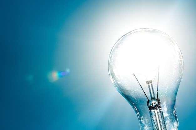 Standard Incandescent Light Bulb on Blue Background