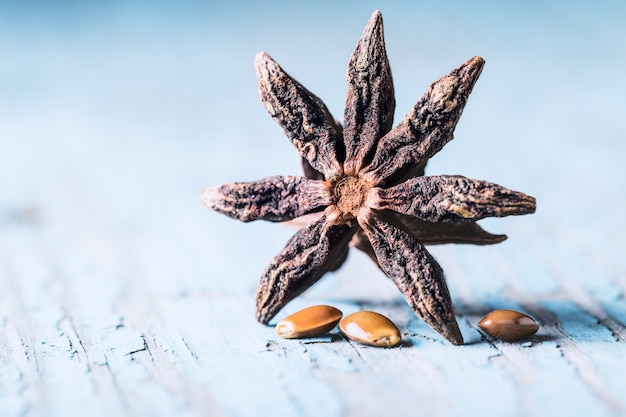 Star anise with seeds on old wooden background close-up with copyspace.