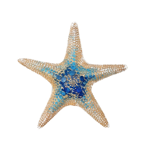 Star fish figure painted in blue and white tones isolated on white