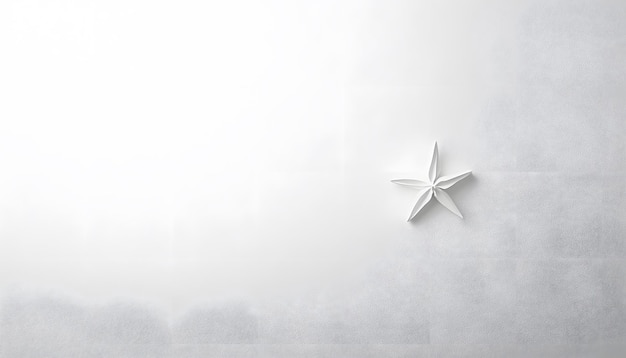 a star that is on a white background