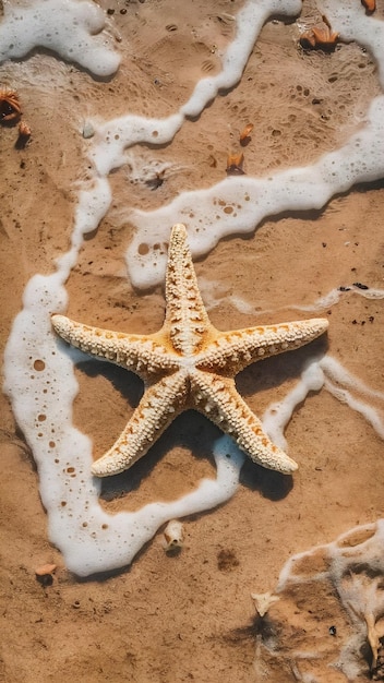 starfish in the beach over sea foam